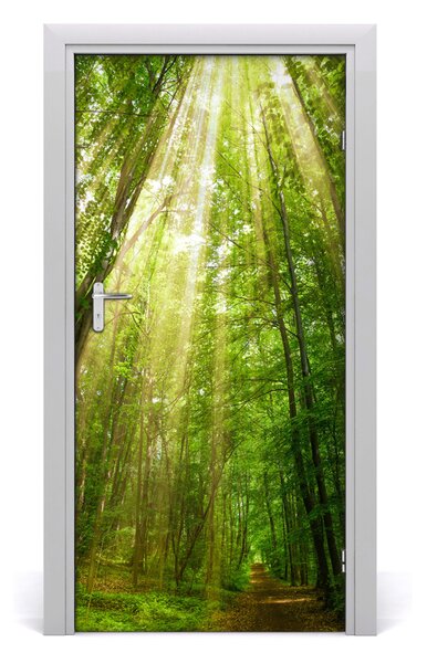 Naklejka fototapeta na drzwi Ścieżka w lesie