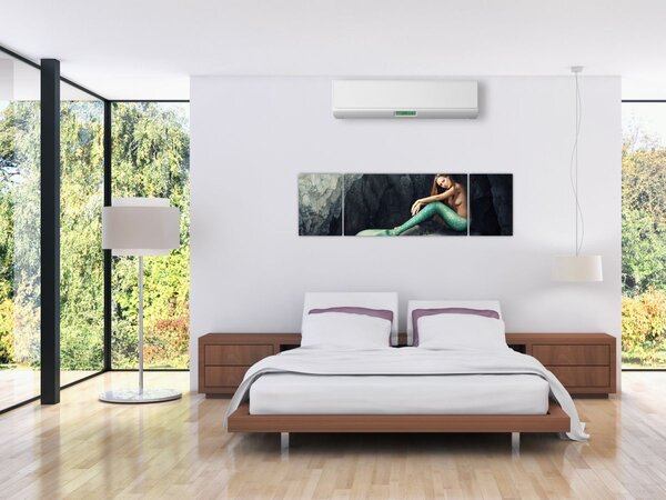 Obraz - Syrenka na skale (170x50 cm)