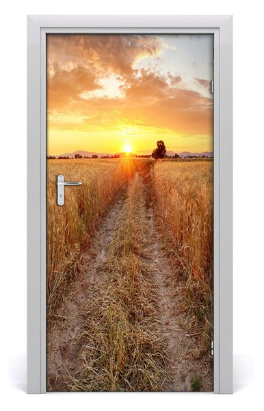 Naklejka fototapeta na drzwi Pole pszenicy