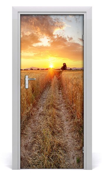 Naklejka fototapeta na drzwi Pole pszenicy