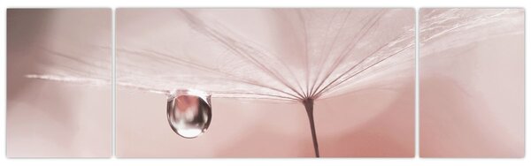 Obraz - Kropla rosy (170x50 cm)