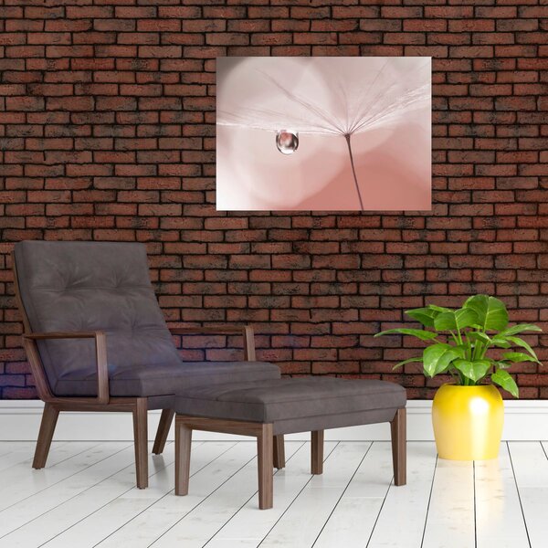 Obraz - Kropla rosy (70x50 cm)