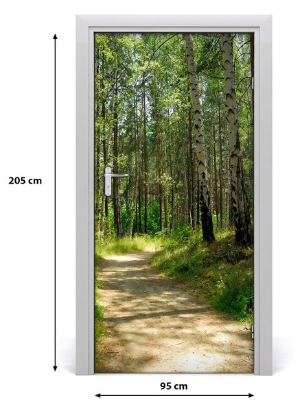 Naklejka fototapeta na drzwi Las brzozowy