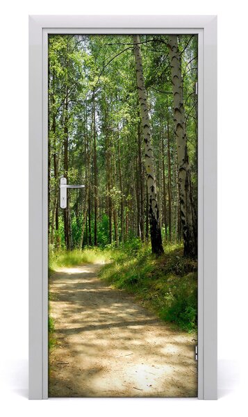 Naklejka fototapeta na drzwi Las brzozowy