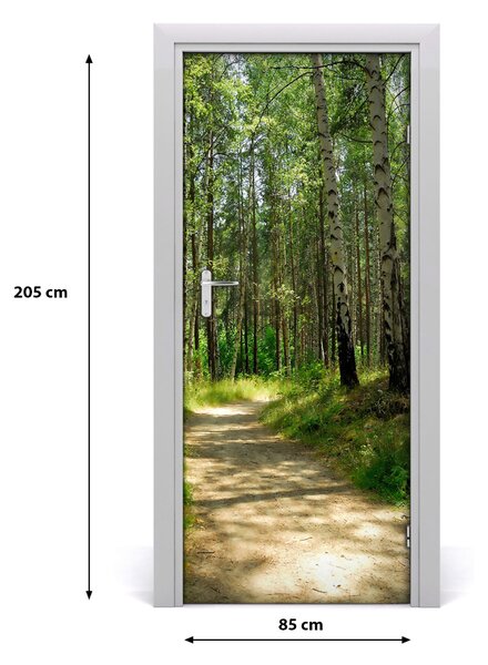 Naklejka fototapeta na drzwi Las brzozowy