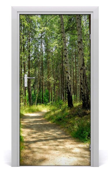 Naklejka fototapeta na drzwi Las brzozowy