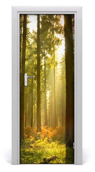 Naklejka fototapeta na drzwi Krajobrazy Piękny las