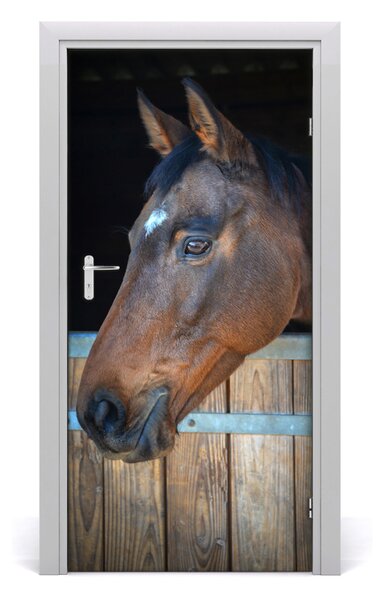 Fototapeta samoprzylepna na drzwi Stajnia koń