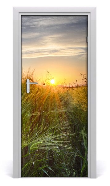 Naklejka fototapeta na drzwi Pole pszenicy