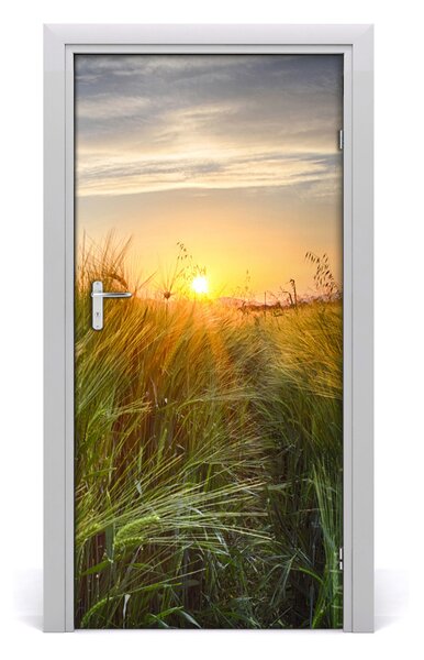Naklejka fototapeta na drzwi Pole pszenicy