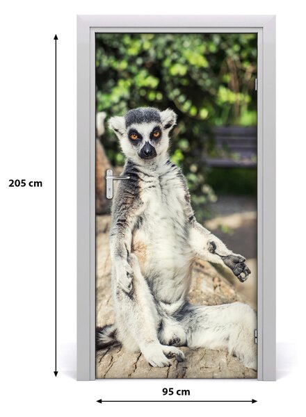 Naklejka samoprzylepna na drzwi Lemur