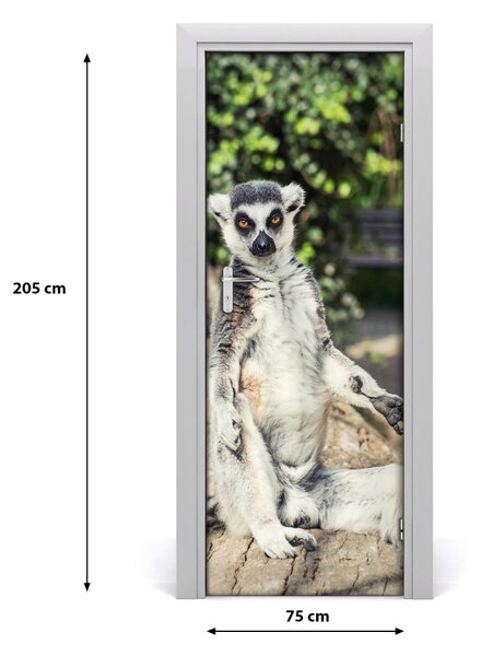 Naklejka samoprzylepna na drzwi Lemur