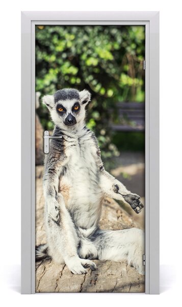 Naklejka samoprzylepna na drzwi Lemur