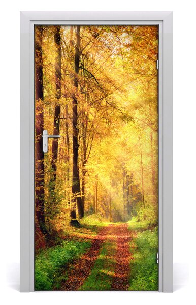 Naklejka fototapeta na drzwi Las jesienią