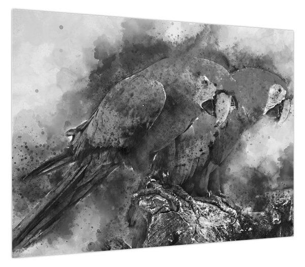 Obraz - Papugi akwarelowe (70x50 cm)