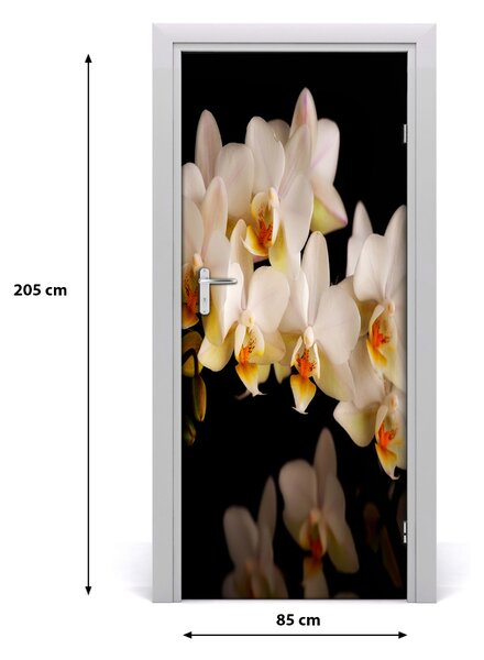 Naklejka samoprzylepna okleina na drzwi Orchidea
