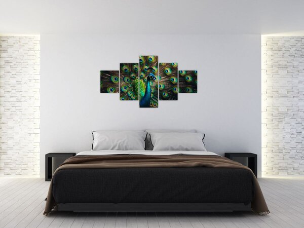 Obraz – Paw (125x70 cm)