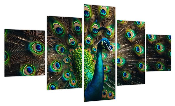 Obraz – Paw (125x70 cm)