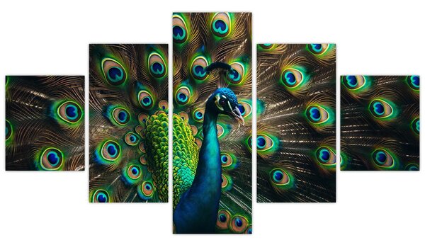 Obraz – Paw (125x70 cm)