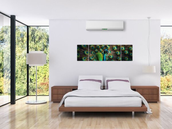Obraz – Paw (170x50 cm)