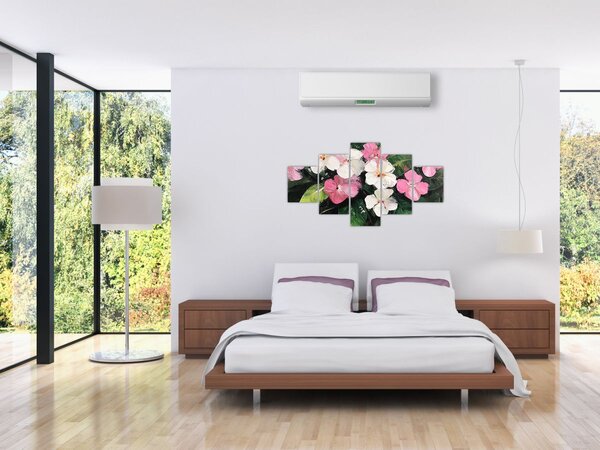 Obraz - Różowe i białe kwiaty (125x70 cm)
