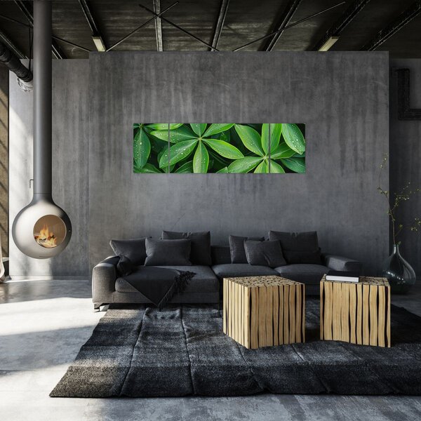 Obraz - Liście z kroplami rosy (170x50 cm)