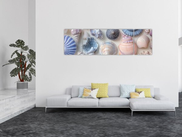 Obraz - Kolekcja muszli (170x50 cm)