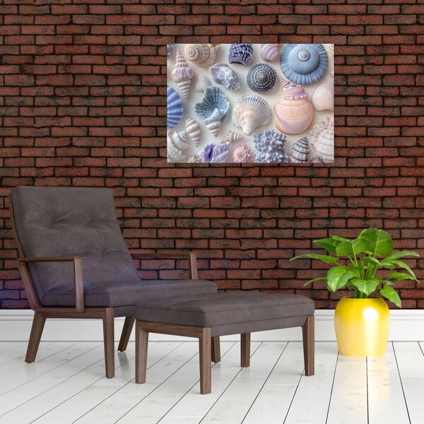 Obraz - Kolekcja muszli (70x50 cm)