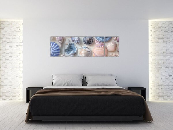 Obraz - Kolekcja muszli (170x50 cm)