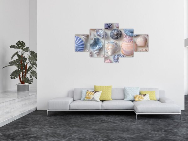 Obraz - Kolekcja muszli (125x70 cm)