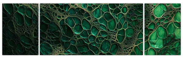 Obraz - Zielony mikroskopowy obraz (170x50 cm)
