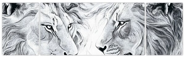 Obraz - Rysowane lwie głowy (170x50 cm)