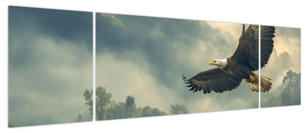 Obraz - Lecący orzeł (170x50 cm)