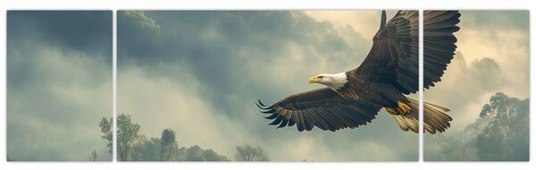 Obraz - Lecący orzeł (170x50 cm)