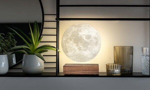 Brązowa dekoracja świetlna do kontaktu ø 12 cm Moon – Gingko