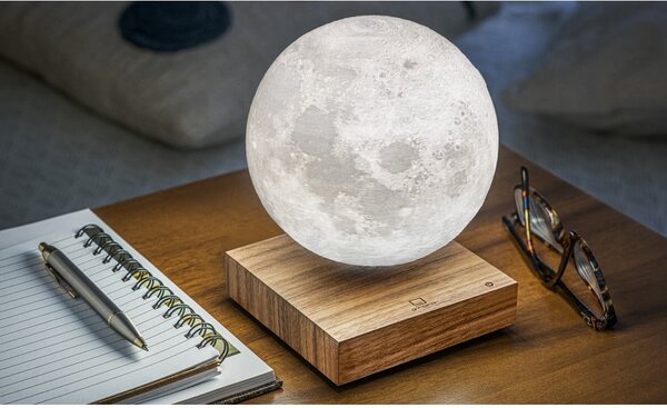 Brązowa dekoracja świetlna do kontaktu ø 12 cm Moon – Gingko