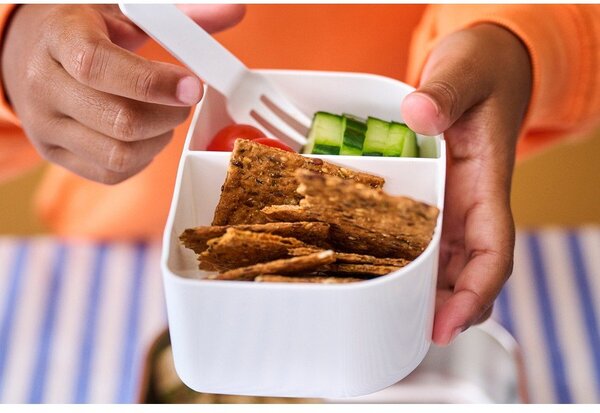 Lunchbox z widelcem z podziałką Campus – Mepal