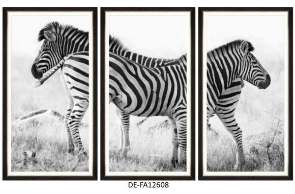 | SPRAWDŹ RABAT W KOSZYKU ! Obraz trzyczęściowy Zebra Pair Tryptich 150x90 DE-FA12608 MINDTHEGAP DE-FA12608