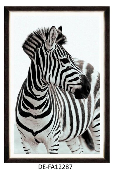 | SPRAWDŹ RABAT W KOSZYKU ! Obraz Zebra Portrait 80x120 DE-FA12287 MINDTHEGAP DE-FA12287