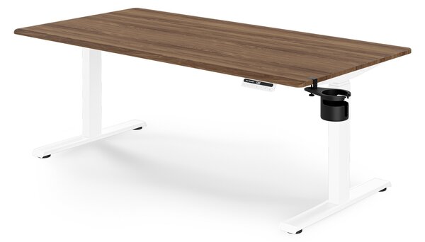 Biurko elektryczne z regulacją wysokości ergonomiczne białe/orzech,1600x800 mm: ARIA