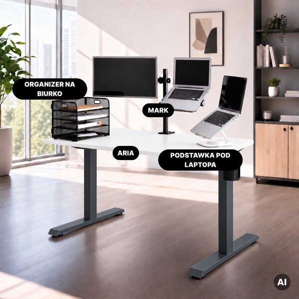 Biurko elektryczne z regulacją wysokości ergonomiczne antracytowo-białe, 1200x600 mm: ARIA