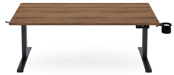Biurko elektryczne z regulacją wysokości ergonomiczne antracytowe/orzech,1600x800 mm: ARIA