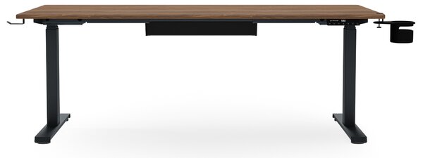 Biurko elektryczne z regulacją wysokości ergonomiczne antracytowe/orzech,1600x800 mm: ARIA