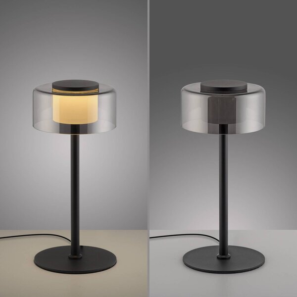 Paul Neuhaus Lampa stołowa LED Rika, możliwość ściemniania, czarny, salon / jadalnia, szkło, nowoczesny
