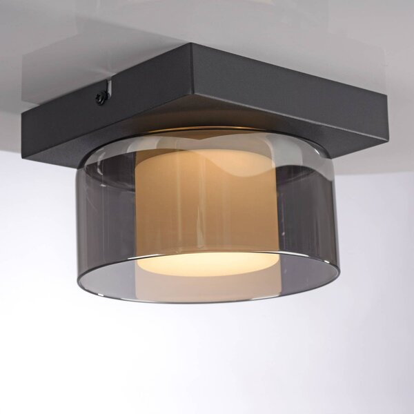 Paul Neuhaus Lampa sufitowa LED Rika, możliwość ściemniania, czarny, salon / jadalnia, szkło, nowoczesny