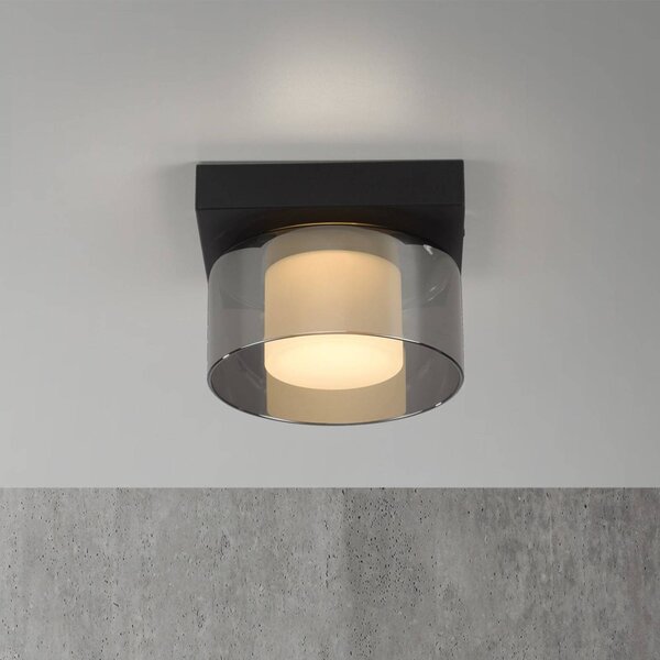 Paul Neuhaus Lampa sufitowa LED Rika, możliwość ściemniania, czarny, salon / jadalnia, szkło, nowoczesny