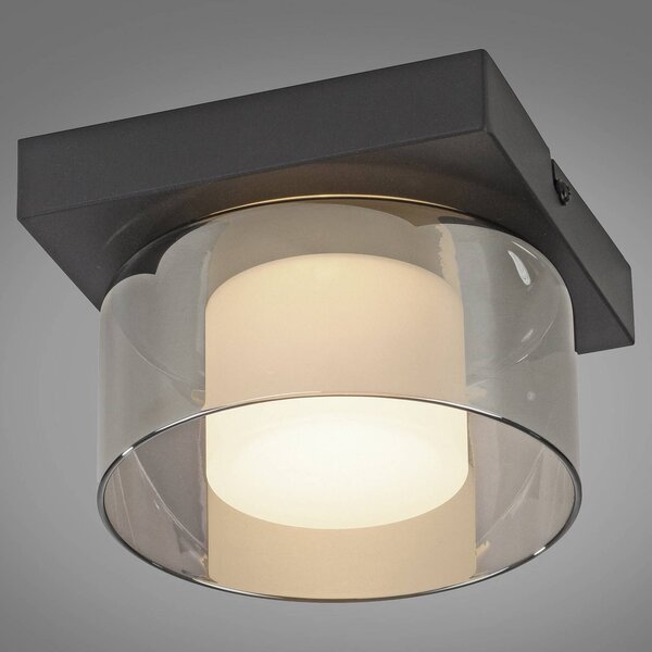 Paul Neuhaus Lampa sufitowa LED Rika, możliwość ściemniania, czarny, salon / jadalnia, szkło, nowoczesny