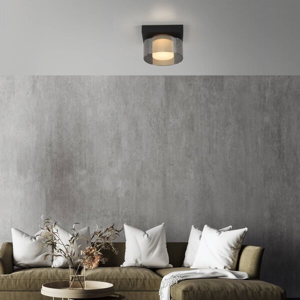 Paul Neuhaus Lampa sufitowa LED Rika, możliwość ściemniania, czarny, salon / jadalnia, szkło, nowoczesny