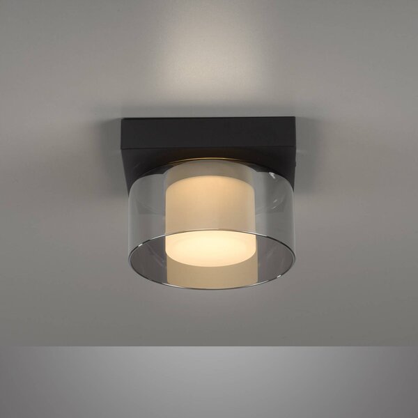 Paul Neuhaus Lampa sufitowa LED Rika, możliwość ściemniania, czarny, salon / jadalnia, szkło, nowoczesny