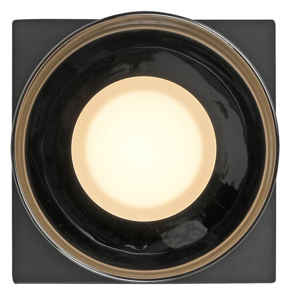 Paul Neuhaus Lampa sufitowa LED Rika, możliwość ściemniania, czarny, salon / jadalnia, szkło, nowoczesny